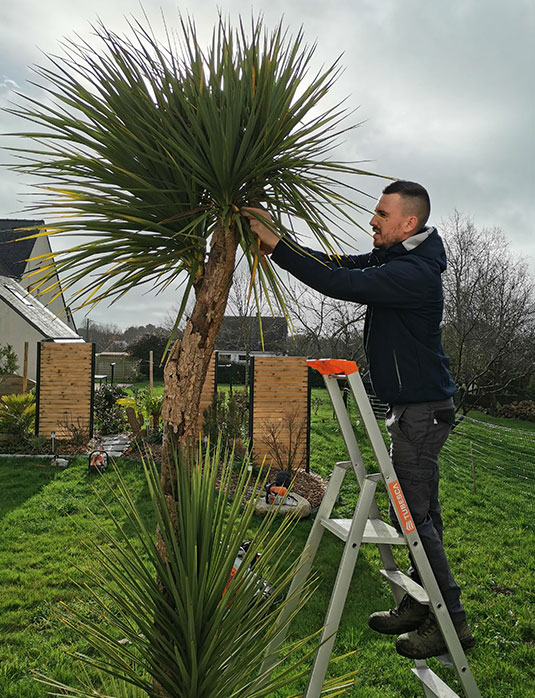 entreprise de jardinage à Pluneret 